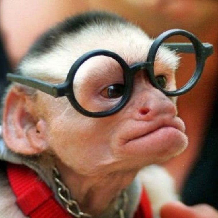 Ученый в очках