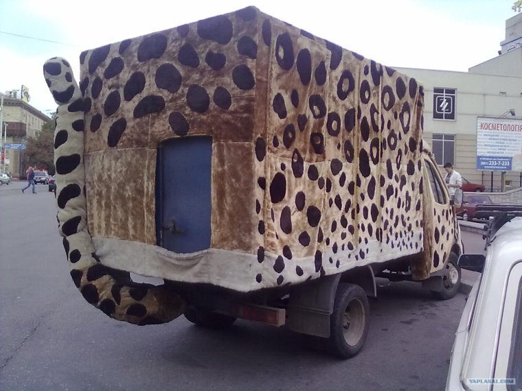 Странная Газель