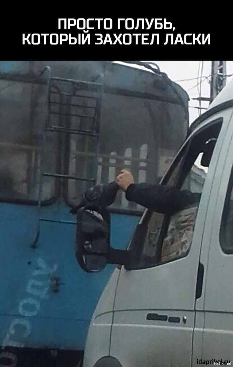 Водитель газели прикольные картинки