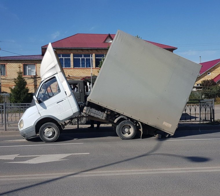 Газель пополам