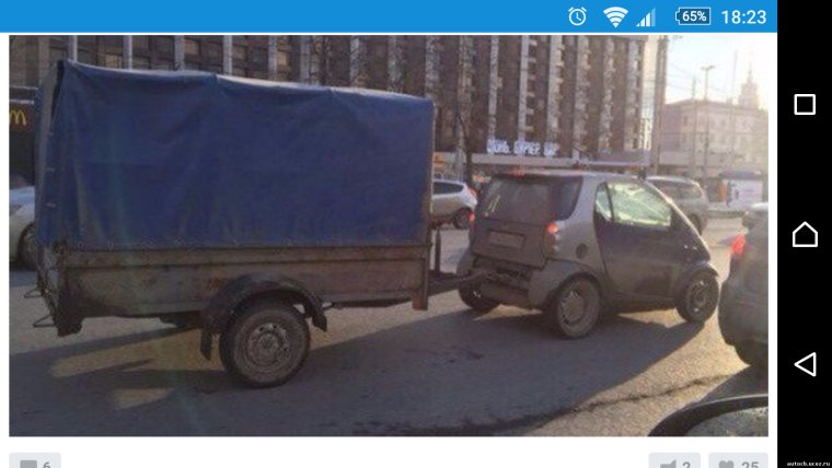 Разные Газель смешные