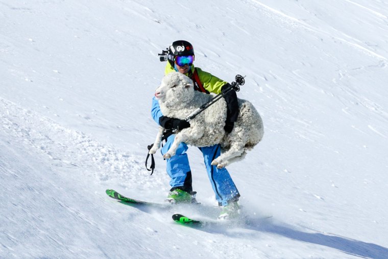 Смешное про горные лыжи