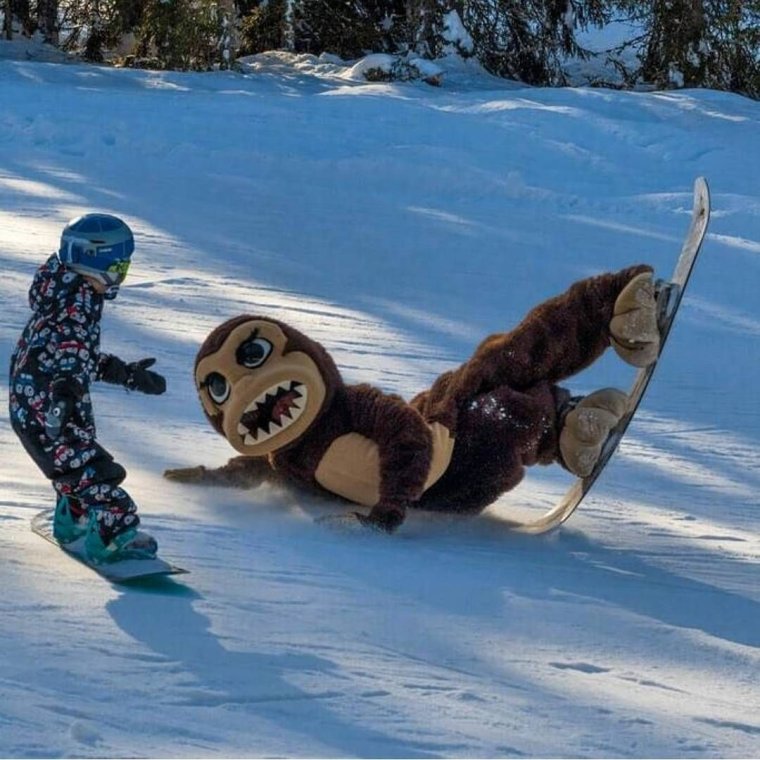 Сноуборд смешной