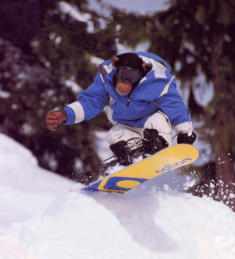 Прикольные сноуборды