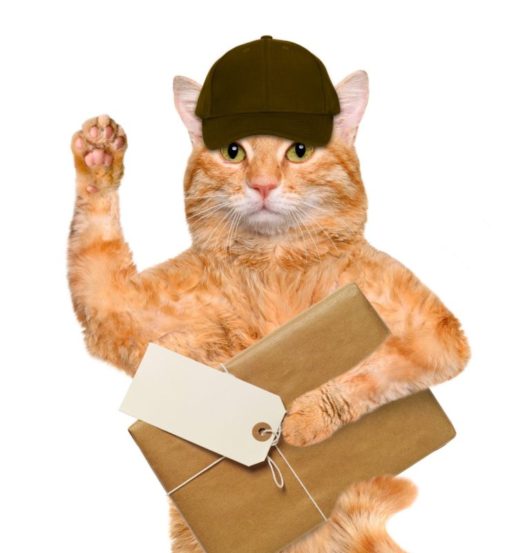 Кот доставщик
