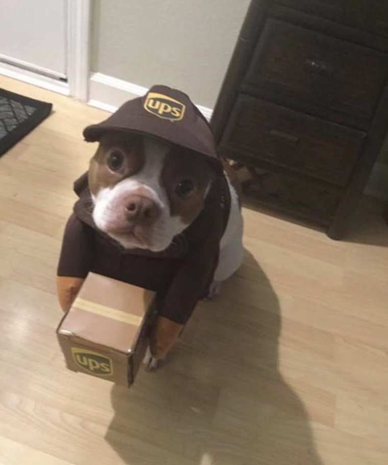 Смешной курьер