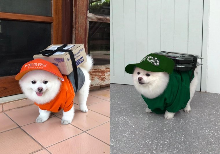 Забавные курьеры