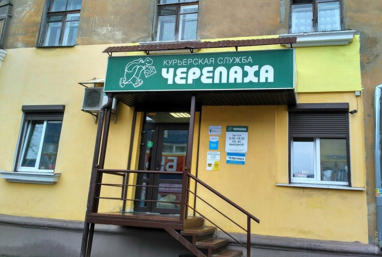 Курьерская служба черепаха