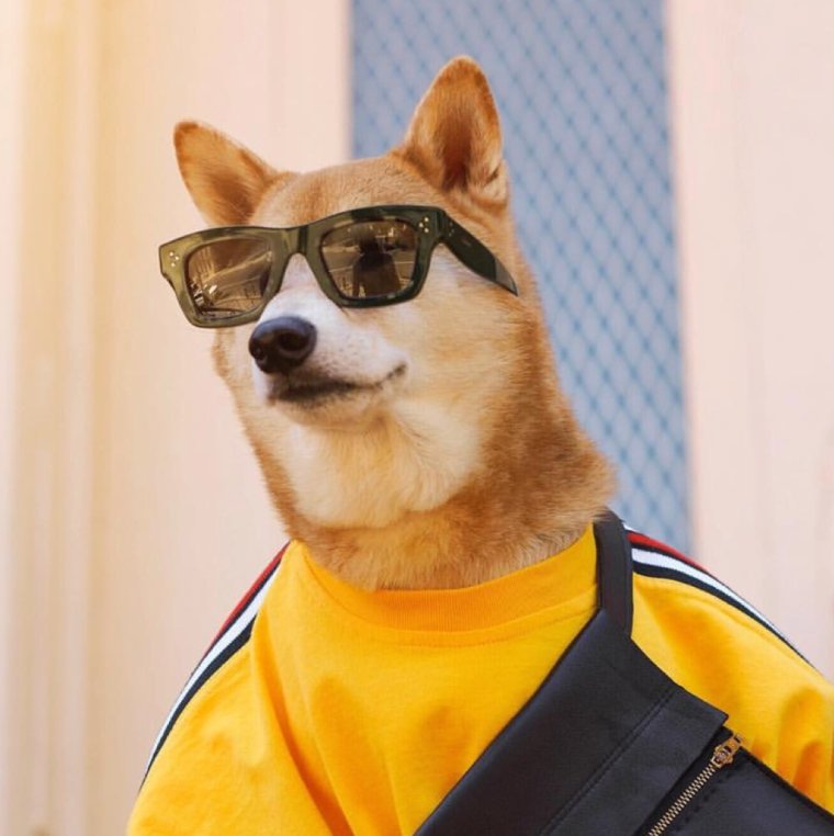 Курьер смешное фото