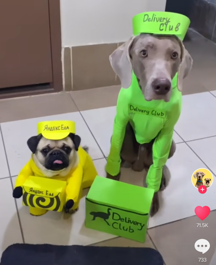 Деливери клаб приколы