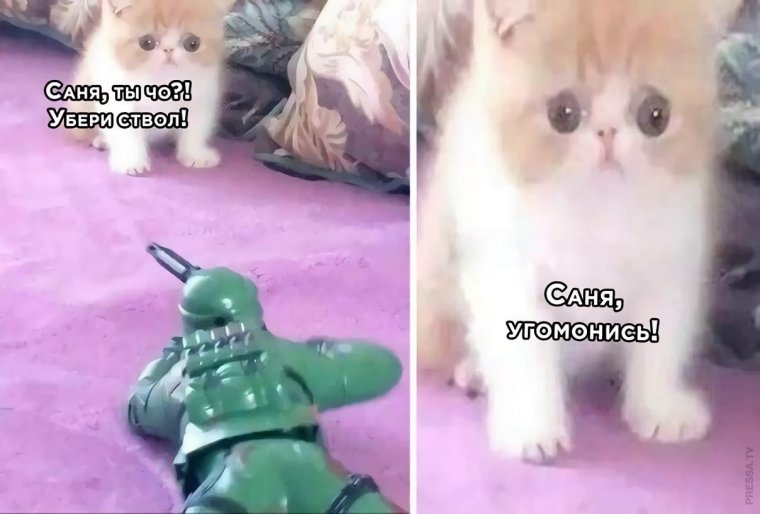 Пушкин прикольные фото