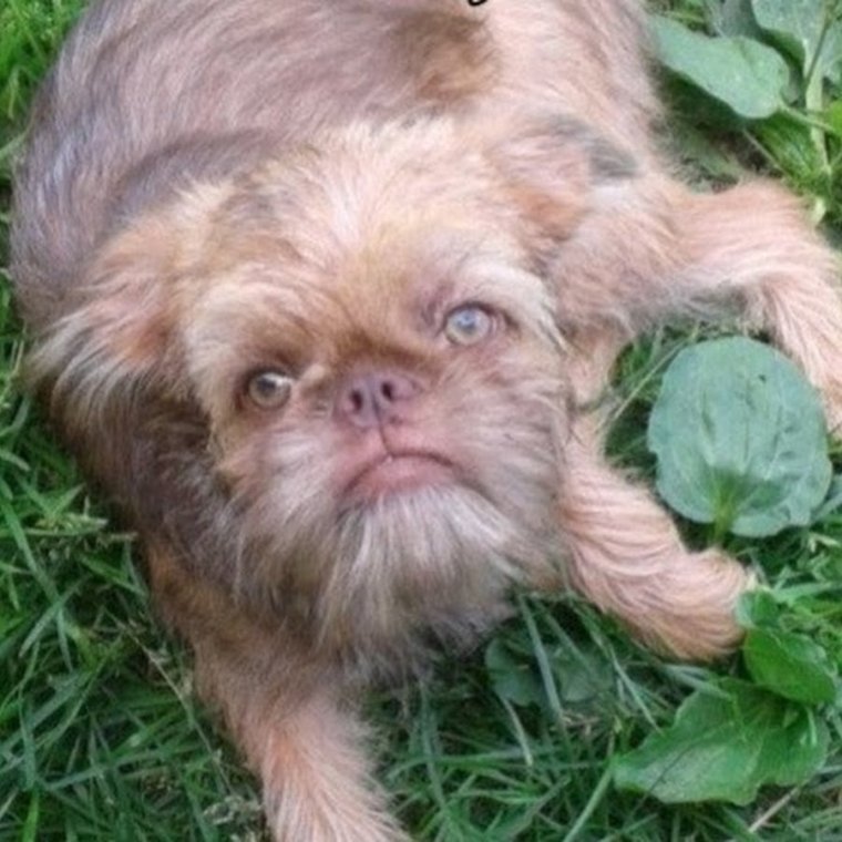 Интерны Лобанов бьет