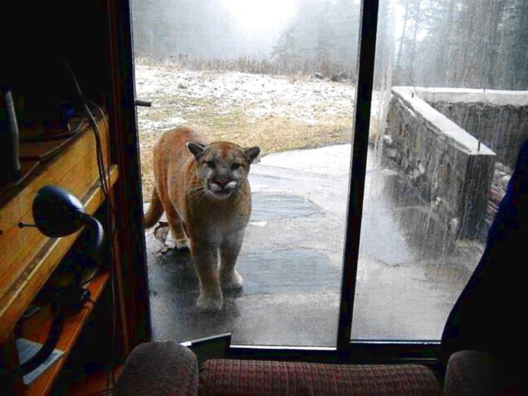 Саня я замерз