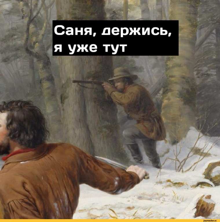 Приколы с саней