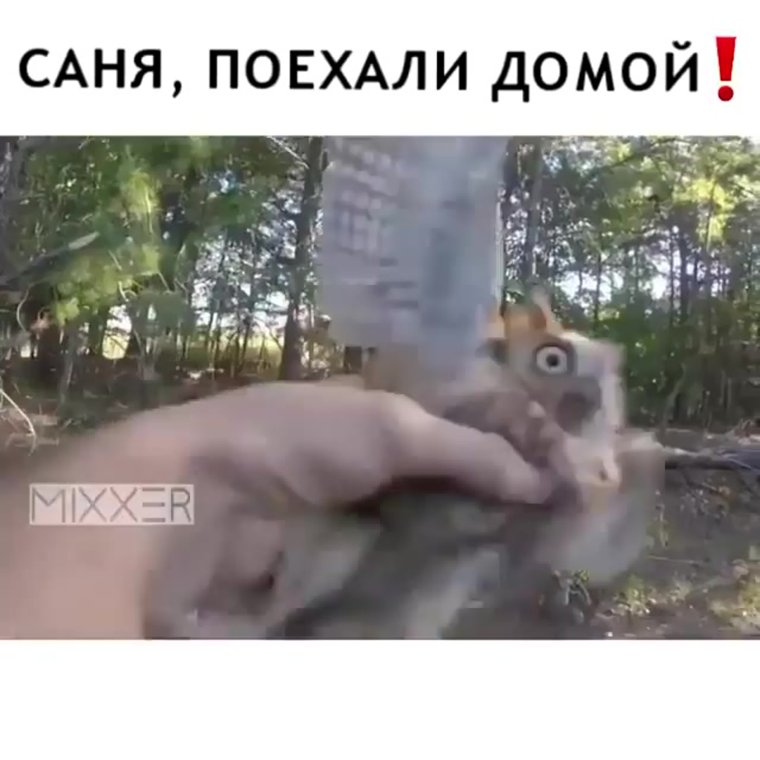 Смешные приколы про растишку