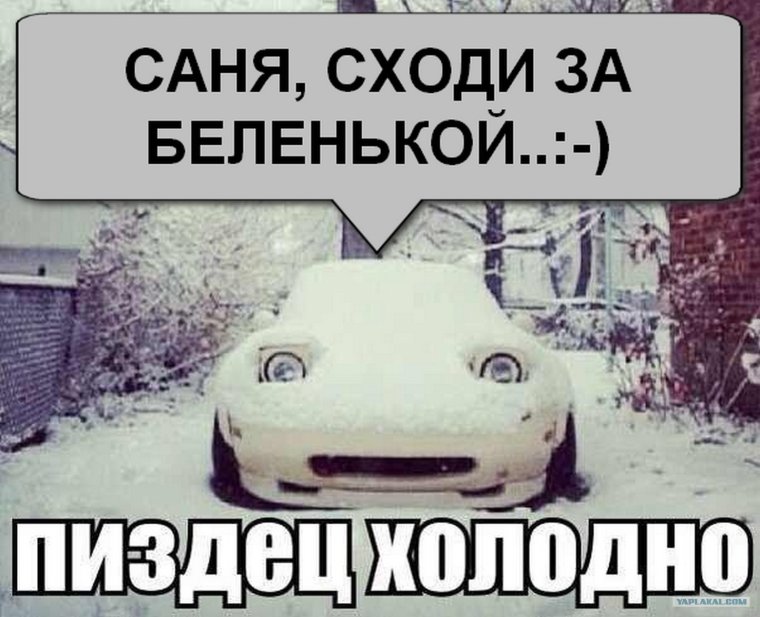 Приколы про Санька