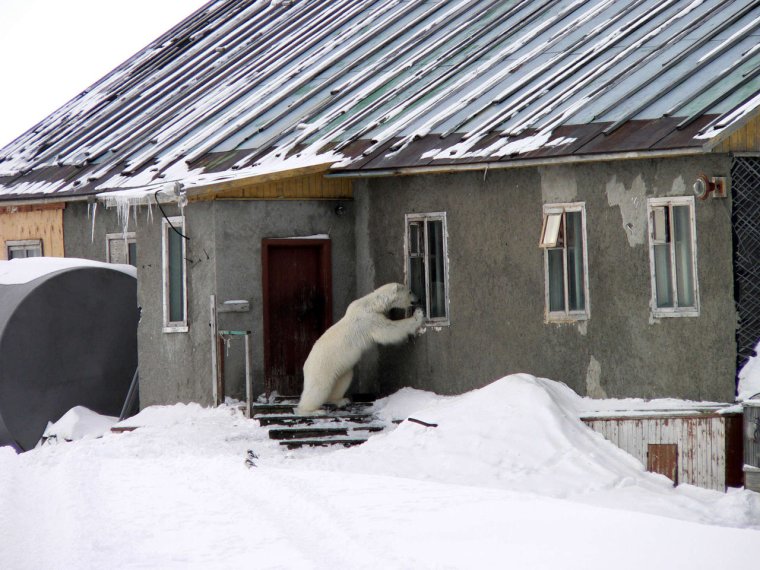Саня Открой