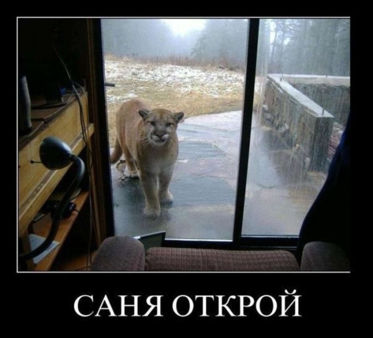 Саня я замерз