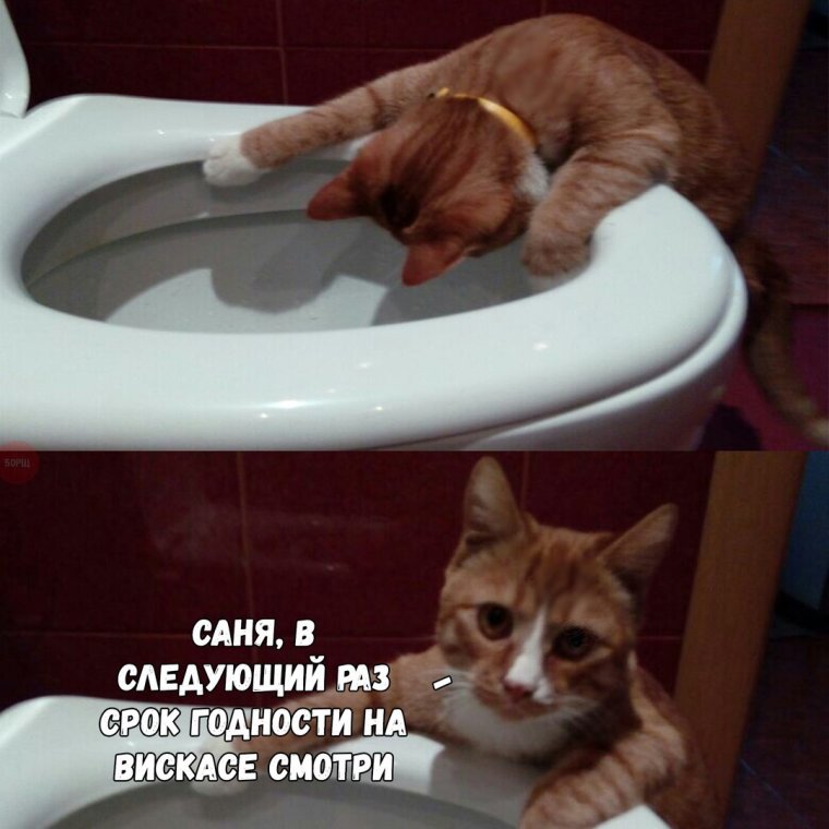 Виталий Кличко Криминальное прошлое