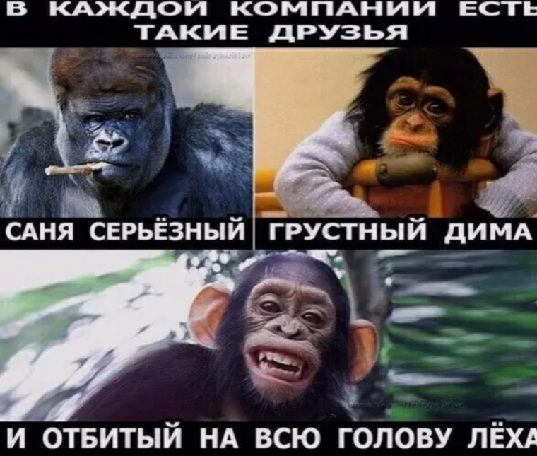 Саня не надо