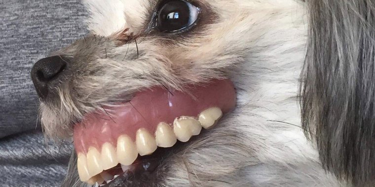 Вставная челюсть