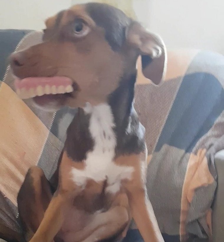 Зубной протез в стакане