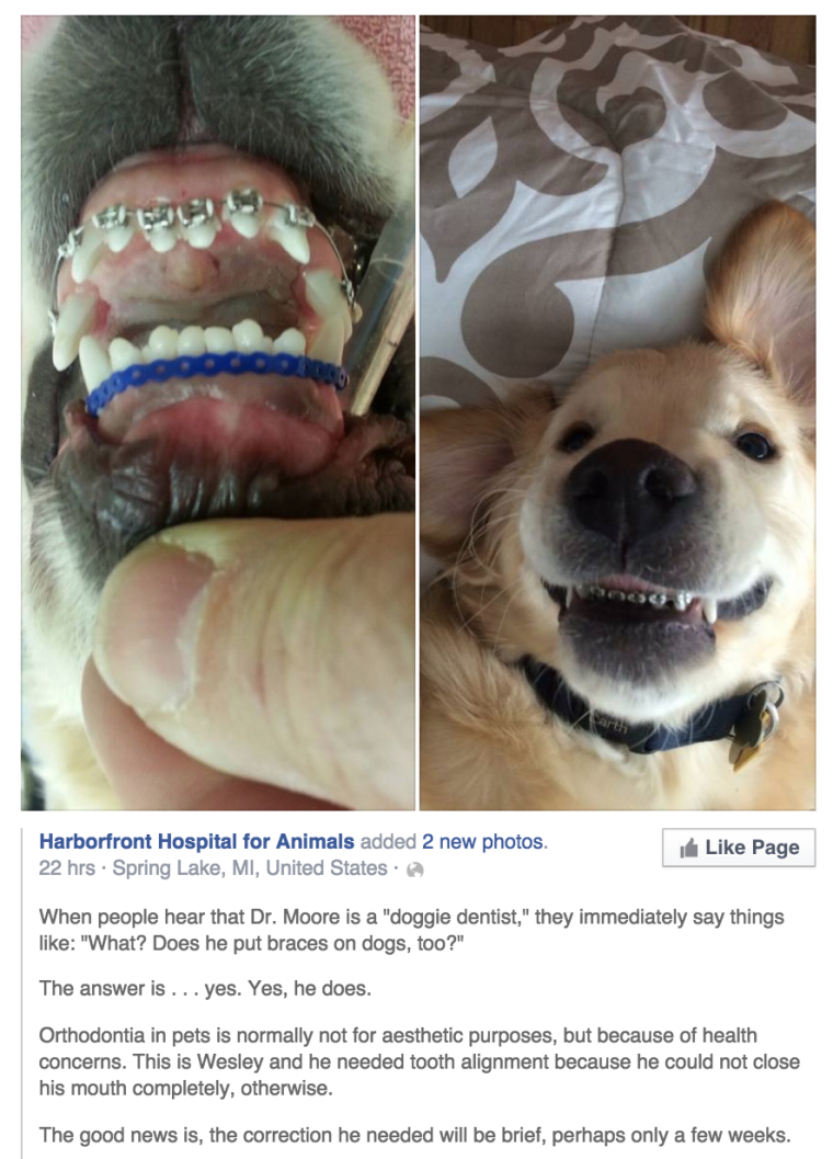 Необычные вставные челюсти