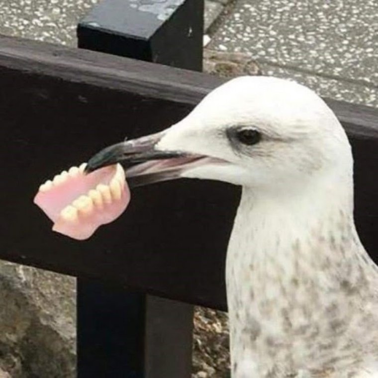 Вставная челюсть женщина