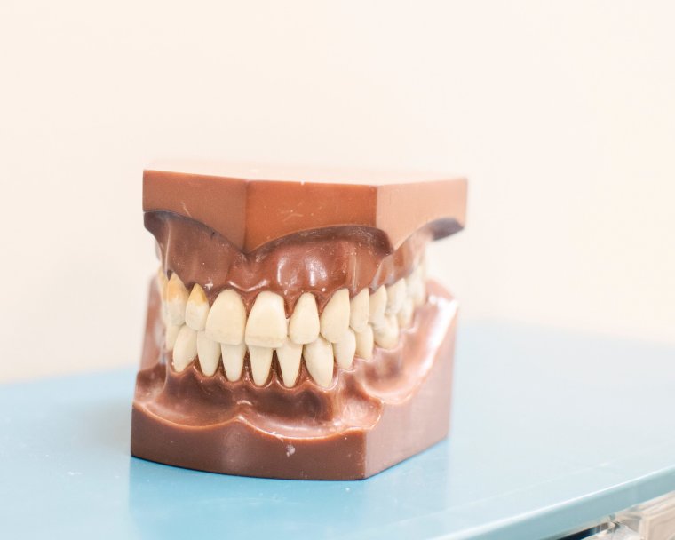Зубные протезы для соба