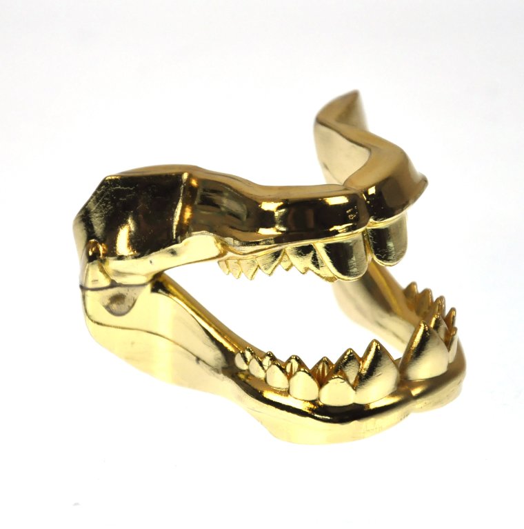 Красивые вставные челюсти