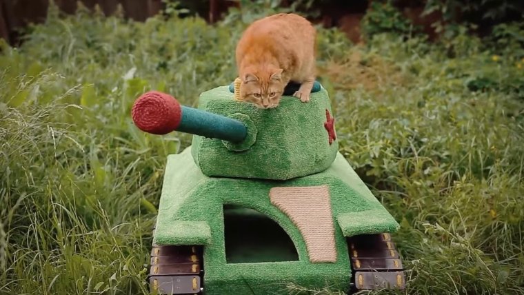 Домик для кошки танк