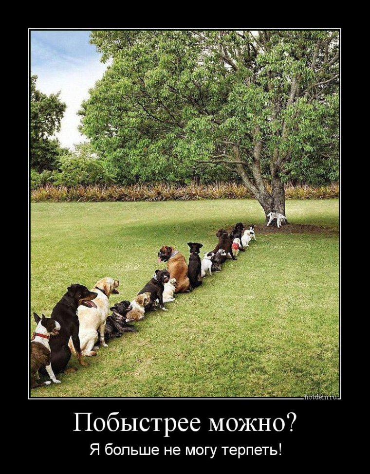 Терпение демотиватор