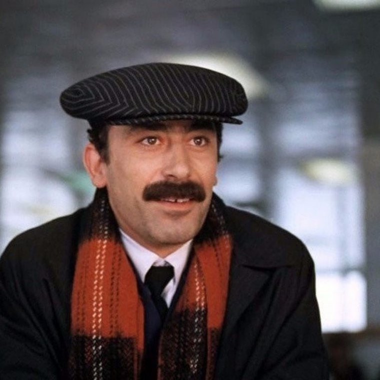 Кот Ориентал грузин и его грузинки