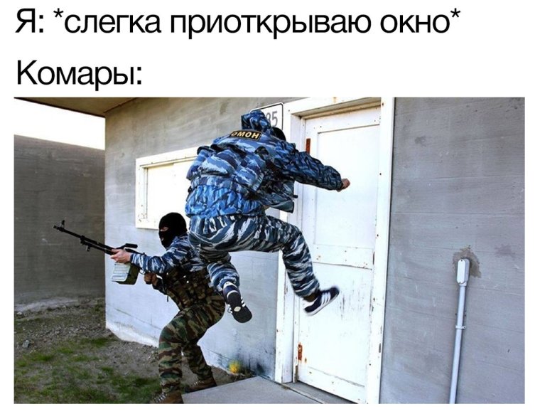 Мемы про спецназ с надписями