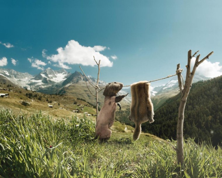 Смешной пейзаж