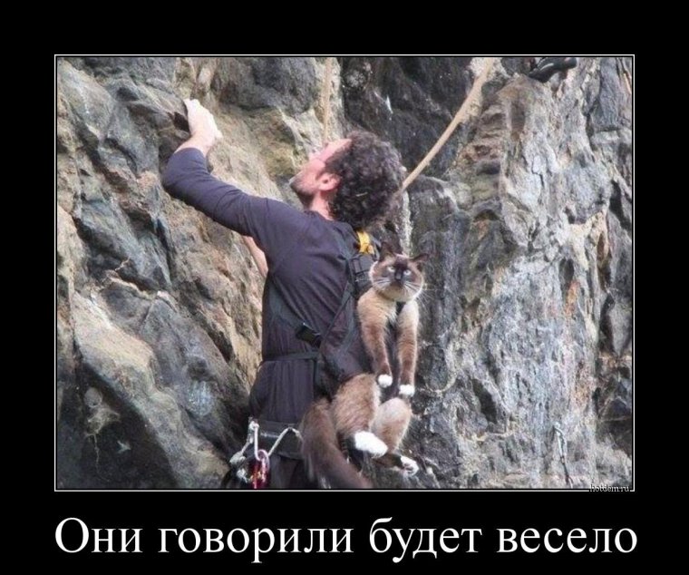 Демотиваторы про альпинистов