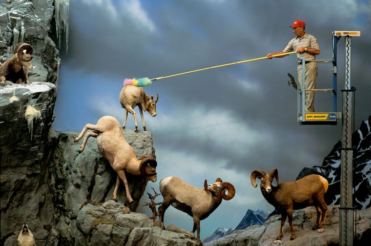 National Geographic прикол