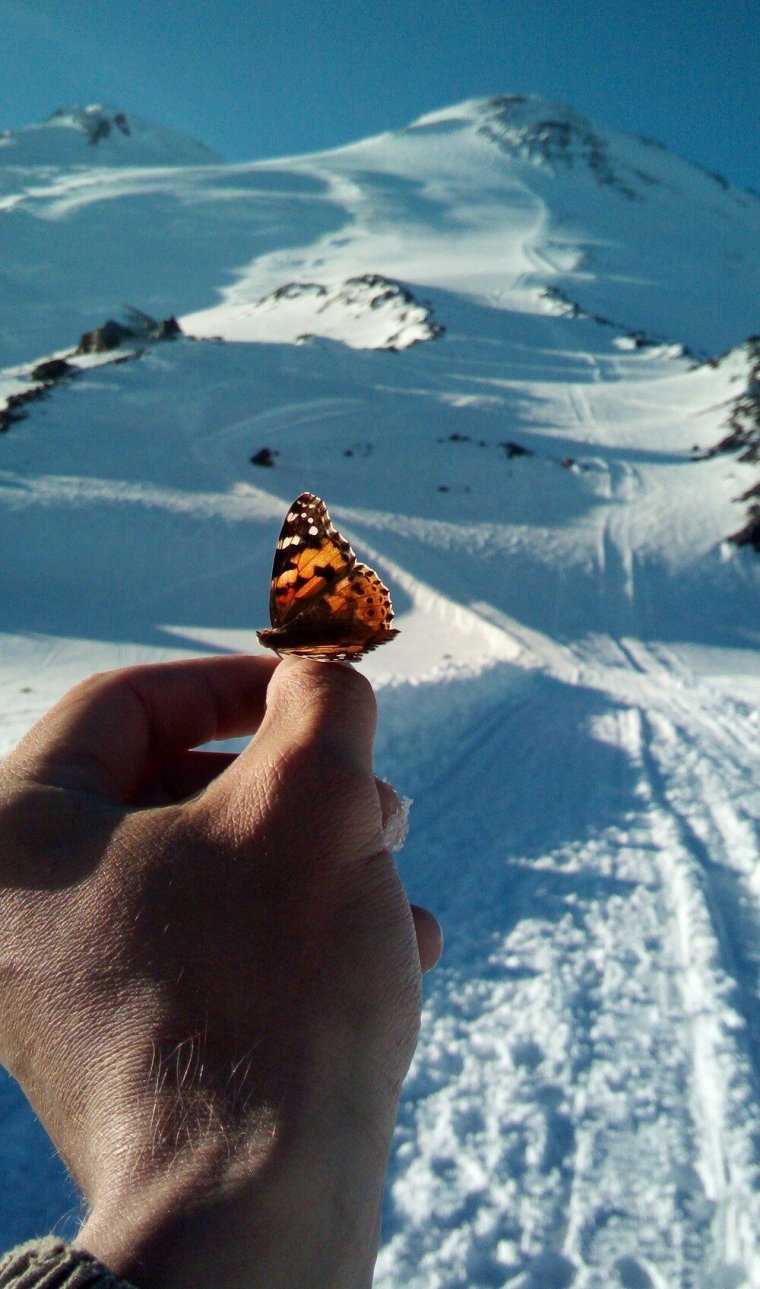 Доброе утро Эльбрус