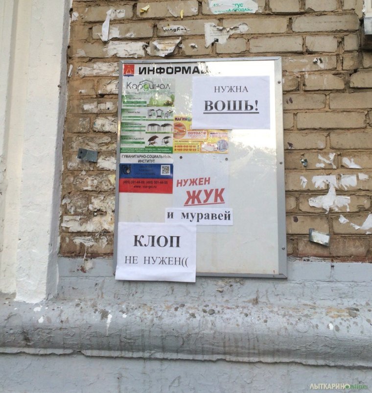 Смешные вывески надписи