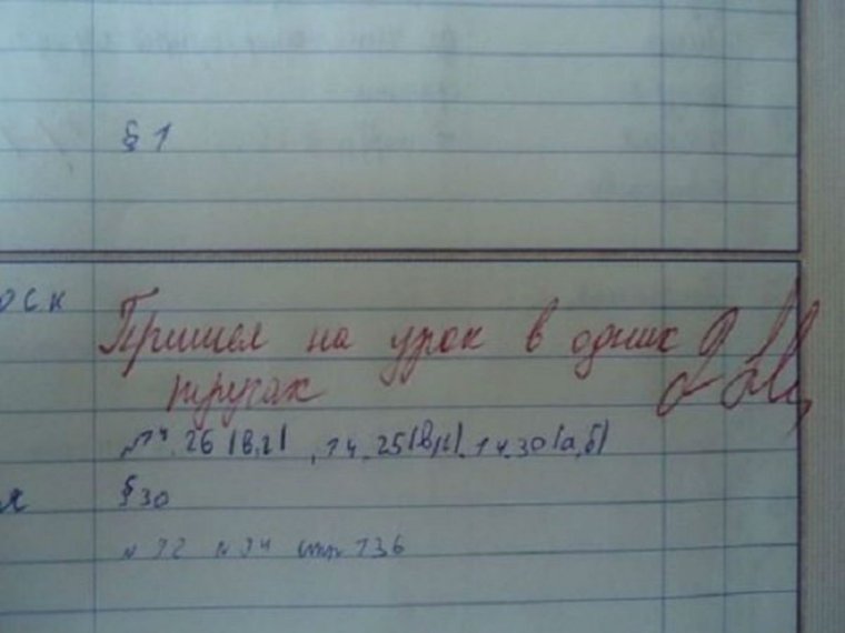 Смешные замечания в дневнике