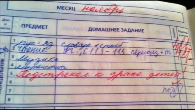 Смешные замечания в дневнике