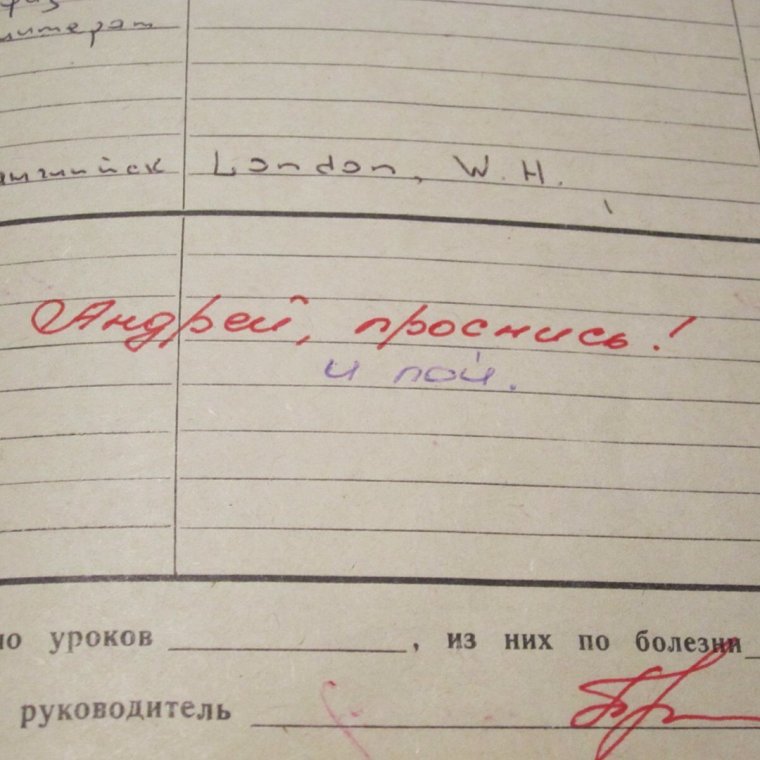 Замечания в дневниках школьников