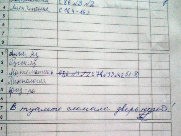 Школьные перлы из Дневников и тетрадей