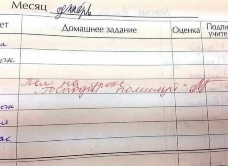 Замечание в дневнике поведение