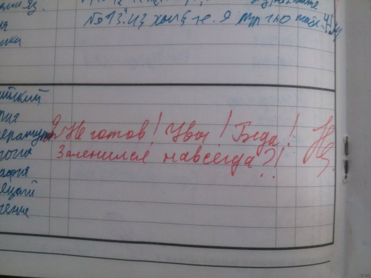 Замечания в дневниках школьников