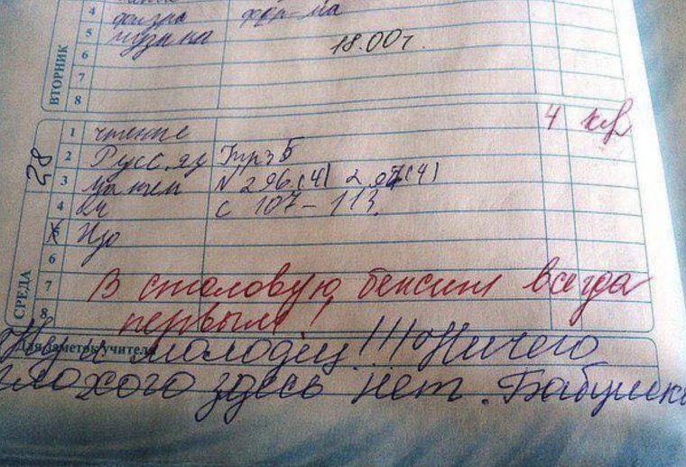 Родителей в школу запись в дневнике