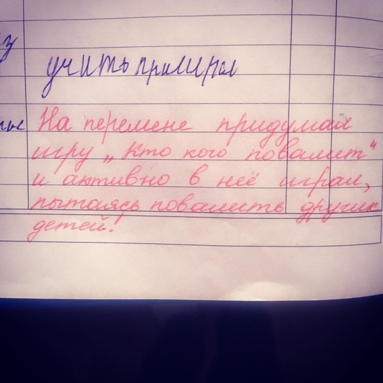 Замечание в дневнике