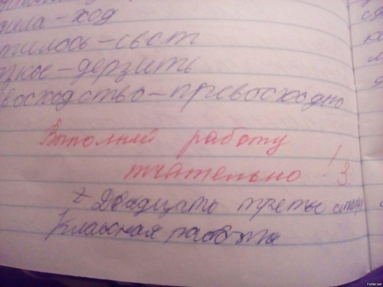 Записи в школьных дневниках