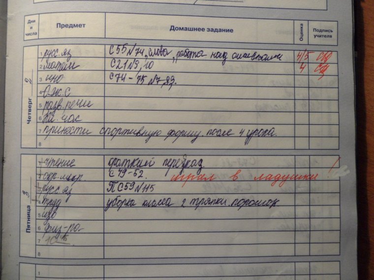 Замечание в дневнике