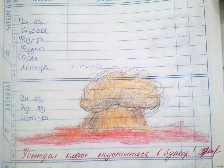 Замечания учителей в дневниках